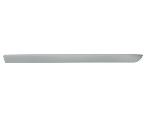 Trim/protection panel, mudguard