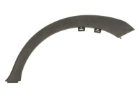 Trim/protection panel, mudguard