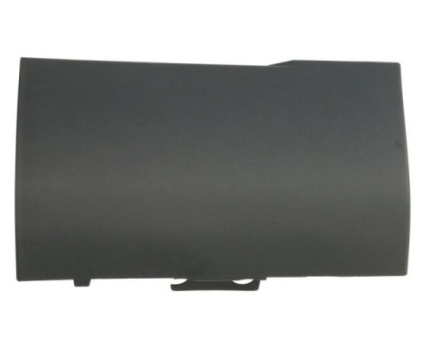 Trim/protection panel, mudguard