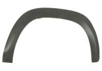 Trim/protection panel, mudguard