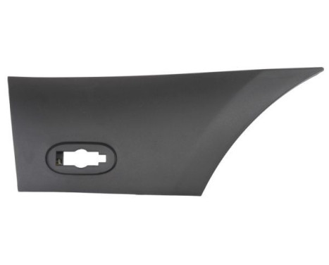 Trim/protection panel, mudguard