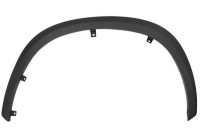 Trim/protection panel, mudguard
