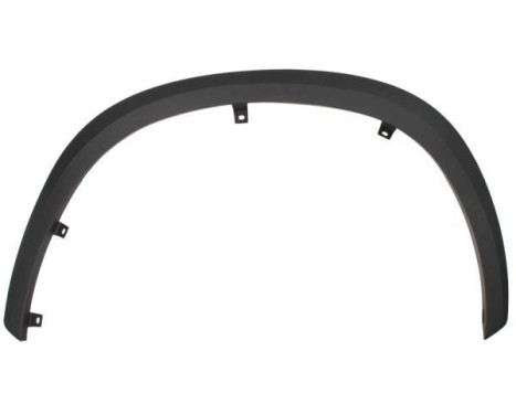 Trim/protection panel, mudguard