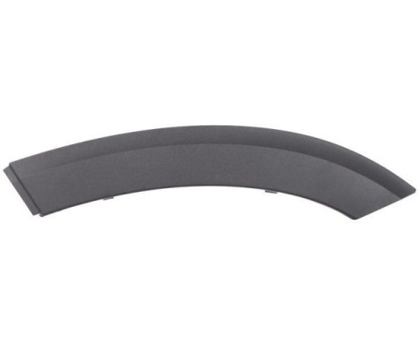 Trim/protection panel, mudguard
