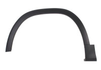 Trim/protection panel, mudguard