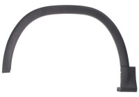 Trim/protection panel, mudguard