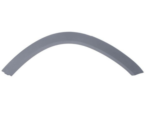 Trim/protection panel, mudguard