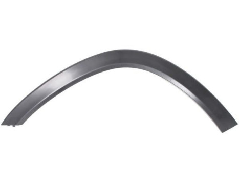 Trim/protection panel, mudguard