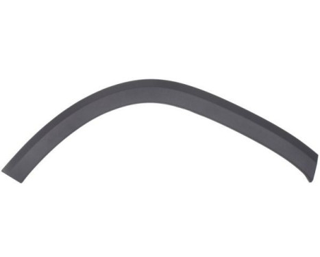 Trim/protection panel, mudguard