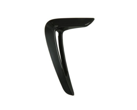 Trim/protection panel, mudguard
