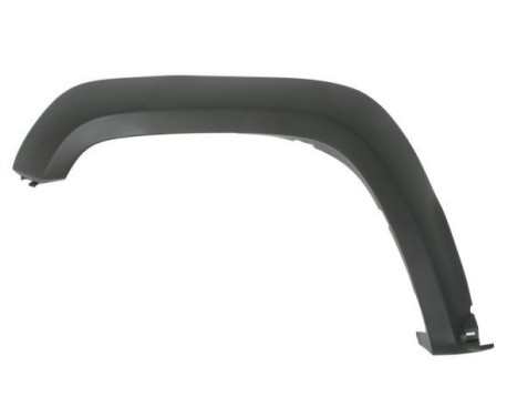 Trim/protection panel, mudguard