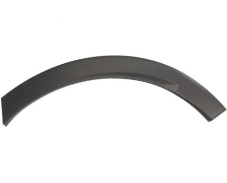 Trim/protection panel, mudguard