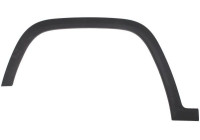 Trim/protection panel, mudguard