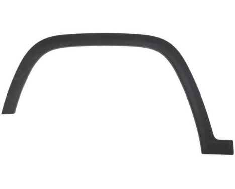Trim/protection panel, mudguard
