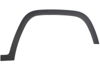Trim/protection panel, mudguard