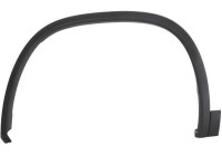 Trim/protection panel, mudguard