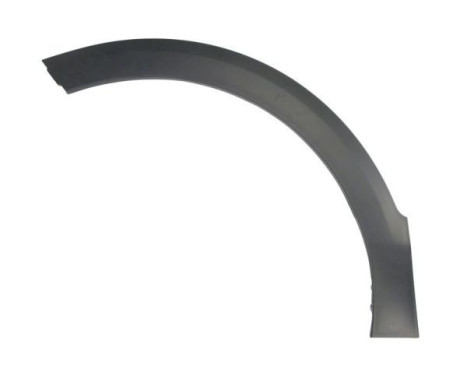Trim/protection panel, mudguard