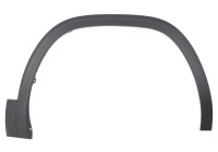 Trim/protection panel, mudguard