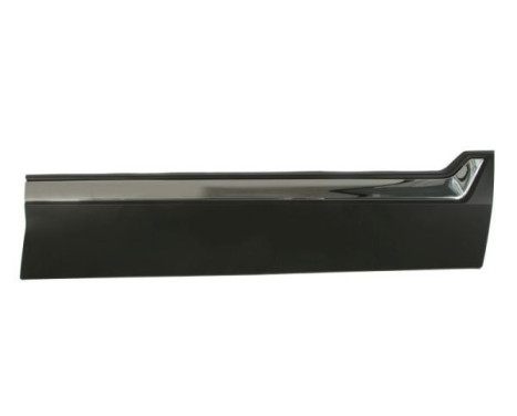 Trim/protection panel, mudguard