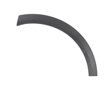 Trim/protection panel, mudguard