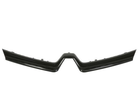 Trim / Protection panel, radiator grille