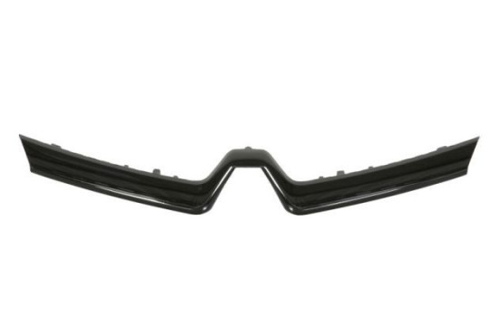 Trim / Protection panel, radiator grille