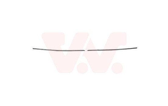 Trim / Protection panel, radiator grille