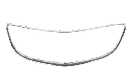 Trim / Protection panel, radiator grille