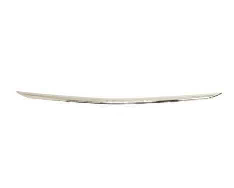 Trim / Protection panel, radiator grille