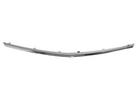 Trim / Protection panel, radiator grille