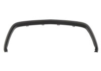 Trim / Protection panel, radiator grille