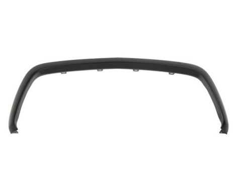 Trim / Protection panel, radiator grille