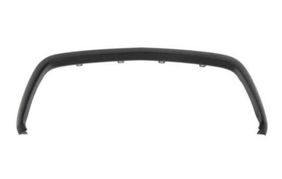 Trim / Protection panel, radiator grille