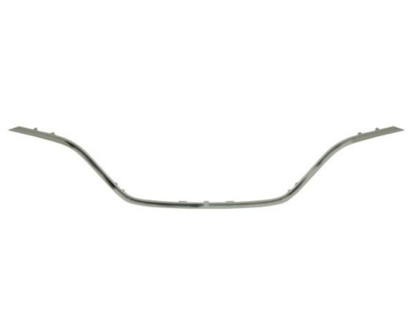 Trim / Protection panel, radiator grille