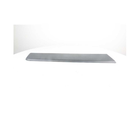 Trim / protection panel, side wall, Image 2