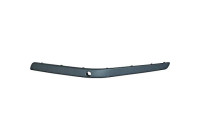 Trim/Protective Strip, bumper HD Tuning