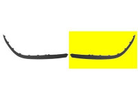 Trim/Protective Strip, bumper