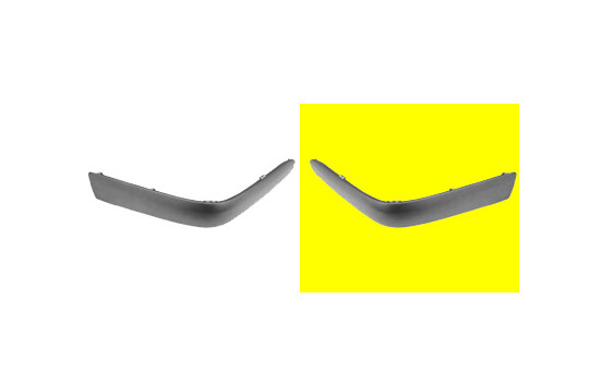 Trim/Protective Strip, bumper