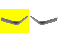 Trim/Protective Strip, bumper