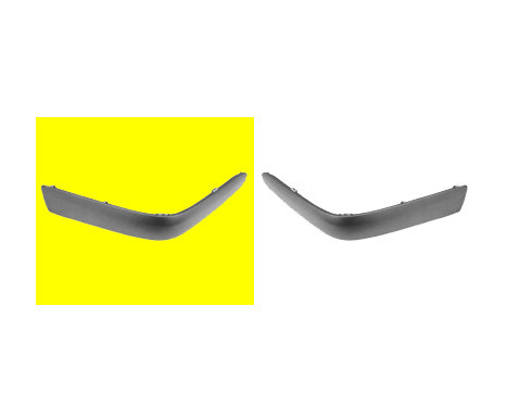 Trim/Protective Strip, bumper