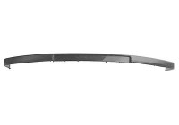 Trim/Protective Strip, bumper