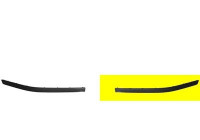 Trim/Protective Strip, bumper