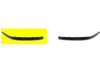 Trim/Protective Strip, bumper