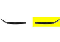 Trim/Protective Strip, bumper