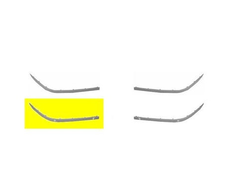 Trim/Protective Strip, bumper