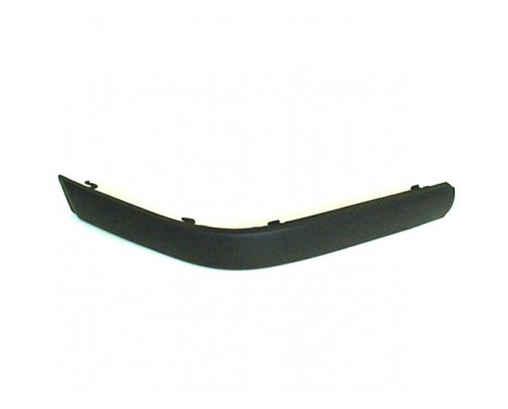 Trim/Protective Strip, bumper