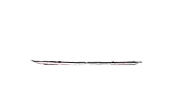 Trim/Protective Strip, bumper, Image 2