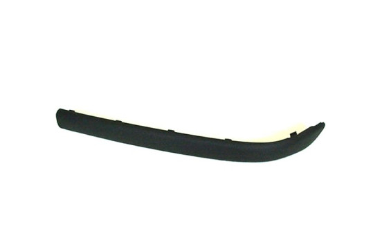 Trim/Protective Strip, bumper