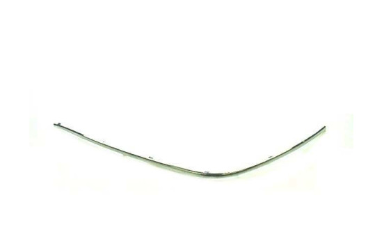 Trim/Protective Strip, bumper