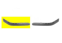 Trim/Protective Strip, bumper